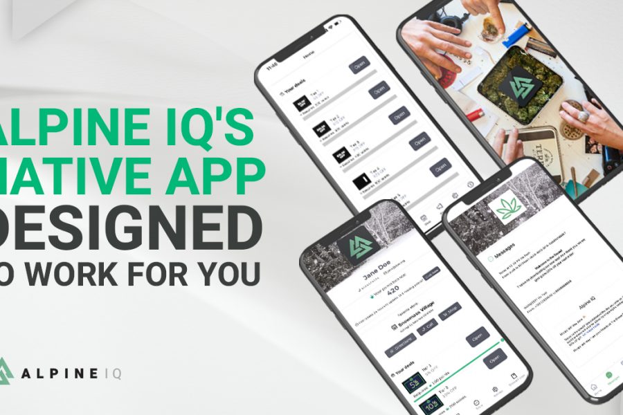 Alpine IQ analysis page breakdown Alpine IQ